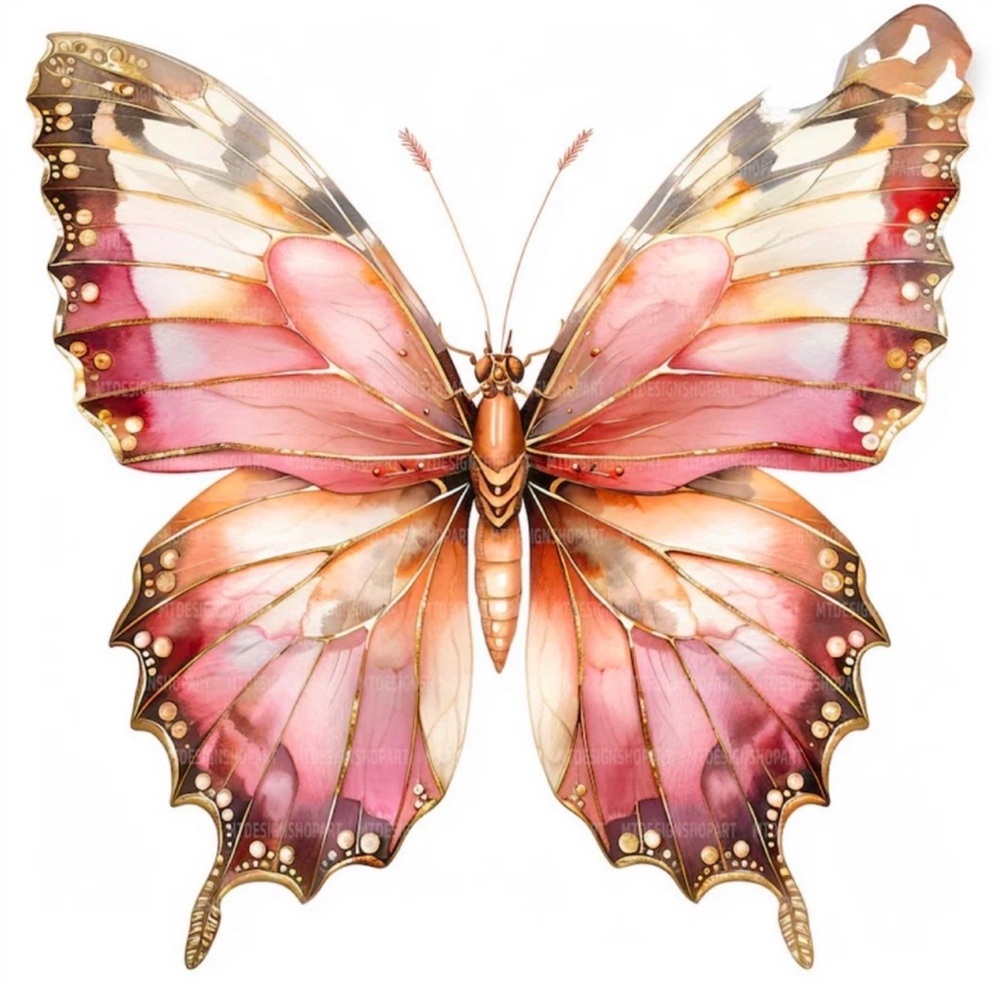 @alphabutterfly Bundle - image 1